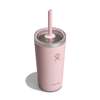 20oz (591mL) All Around Tumbler with Clear Straw Lid